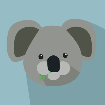 Koala bear vector head