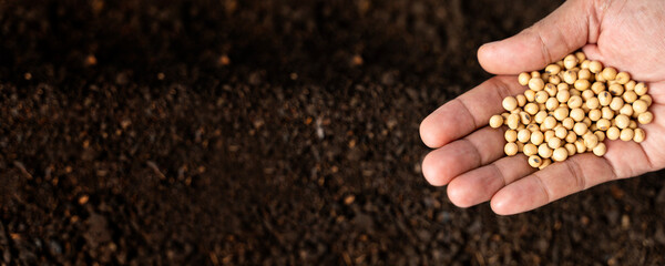 Hand planted seeds on soil, sowing background with copy space, agriculture, organic gardening,...