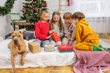 Merry Christmas and Happy Holidays. Children opening gifts and having fun. Boxing Day. Shar Pei dog