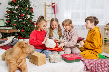 Merry Christmas and Happy Holidays. Children opening gifts and having fun. Boxing Day. Shar Pei dog