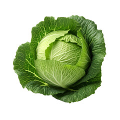 Fototapeta premium Fresh green cabbage isolated on transparent background