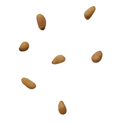 Pine nuts. Falling nuts isolated on transparent background, clipping path, full depth of field
