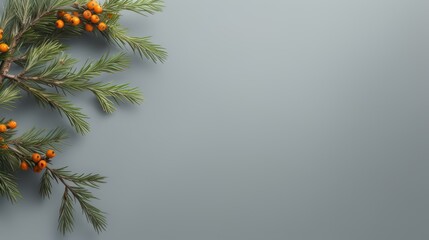  a branch of a pine tree with orange berries and green leaves on a gray background with a place for a text or an image with a place for your own text.  generative ai - obrazy, fototapety, plakaty