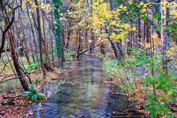 Stream between trees with colourful autumn leaves in Siebenbrunn near Augsburg