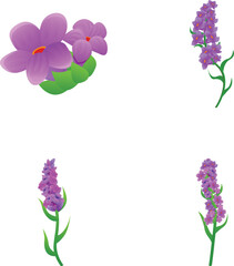 Purple flower icons set cartoon vector. Bright summer flower. Saffron, nature, summer time