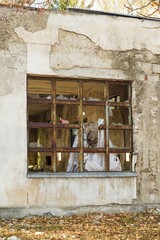 Abandoned building with broken walls and window