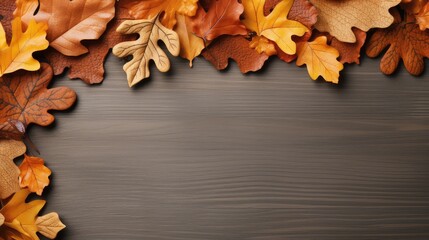 Naklejka na ściany i meble autumn fall frame oak close illustration background color, plant yellow, brown leaf autumn fall frame oak close