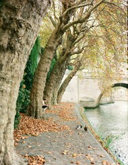 Paris river bank