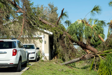 Hurricane damage to a house roof in Florida. Fallen down big tree after tropical storm winds....