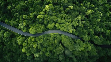 countryside forest wood green aerial illustration nature landscape, above wild, scenic background countryside forest wood green aerial - obrazy, fototapety, plakaty