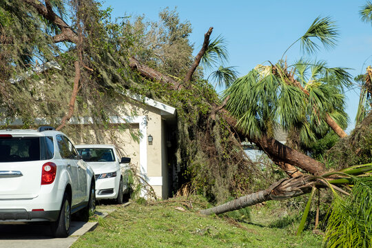 Hurricane damage to a house roof in Florida. Fallen down big tree after tropical storm winds. Consequences of natural disaster