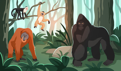 Monkeys in jungle. Exotic animals in nature, gorilla, orangutan and little primates, tropical forest, plants and trees. Wild mammals cartoon flat isolated illustration, tidy vector concept