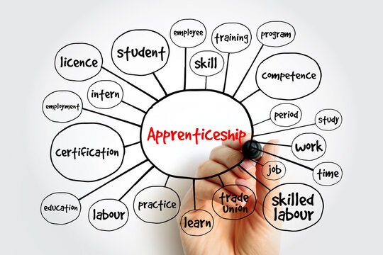 Apprenticeship mind map, concept for presentations and reports