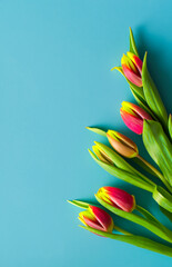 bouquet of tulips with copy space on blue background