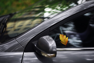 Autumn leaf on the windshield of a car under the brush, against the backdrop of the soft light of...
