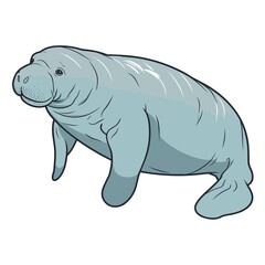 manatee isolated vectir illustration