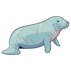 manatee isolated vectir illustration