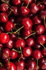 A lot of red sweet ripe cherries berries