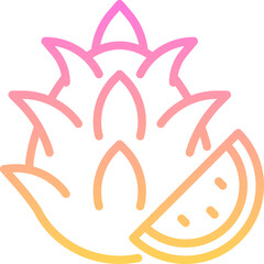 Dragon Fruit Icon