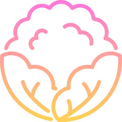 Cauliflower Icon