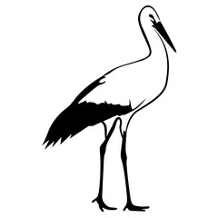 stork