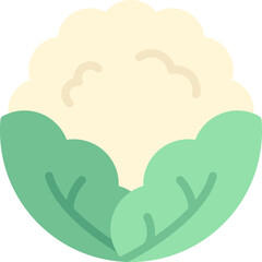 Cauliflower Icon