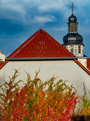 Herbstlich gef&auml;rbtes Laub an einer Fassade