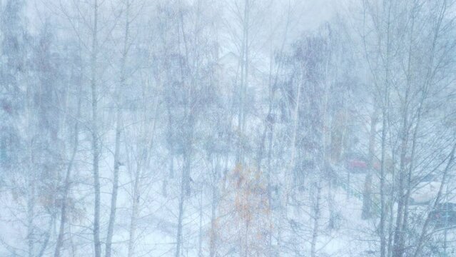 Winter city forest, snowfall, defocusing, abstraction selective focus Winter season