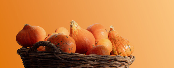 Orange small pumpkins in a wicker basket on an orange background, Hokaido variety