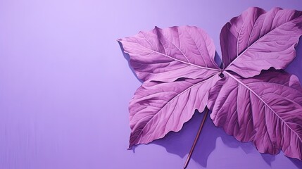  a large purple leaf laying on top of a purple wall next to a stick of toothpicks with a toothpick in the middle of the end of the leaf.  generative ai