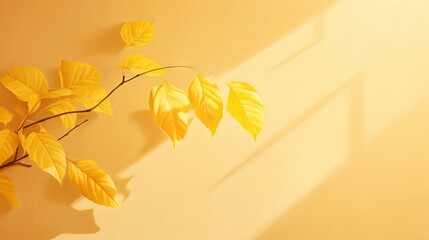 a branch of a tree with yellow leaves in front of a yellow wall with a shadow of a window on the right side of the branch and a yellow wall.  generative ai