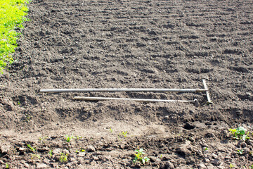 A rake and a hoe are lying in the garden.