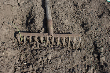 Garden rakes are lying on the ground.
