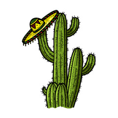 sombrero mexican hat on cactus plant sketch color hand drawn engraving vector illustration. T-shirt apparel print design. Scratch board imitation. Black and white hand drawn image.