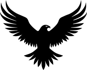 Bald eagle head, black and white isolated on white background, mascot, design element for business, shirt, t shirt, logo, label, emblem, tatoo, sign, poster, Vintage, emblems, Vector illustration