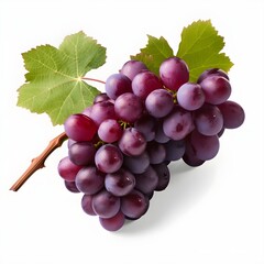 Fototapeta premium bunch of grapes