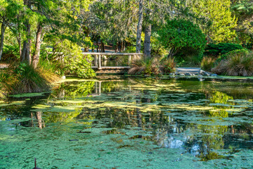 Pond Reflections Landscape