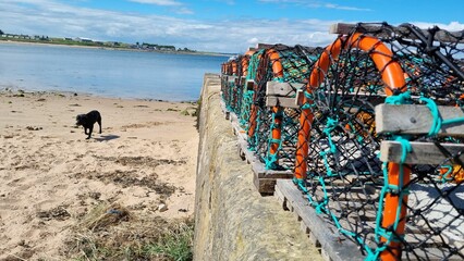 Closeup shot of crab catching cages on a beach with a black dog in Dunkeld, Scotland