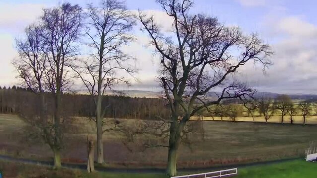 Drone view over leafless trees in a Scottish countryside