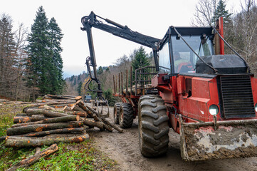 Specialized tractor forwarder folding wood in the forest. The Carpathians, Poland.