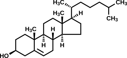 Fototapeta premium Cholesterol structural formula, cholesterin vector illustration