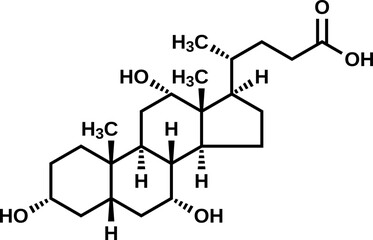 Cholic acid structural formula, vector illustration