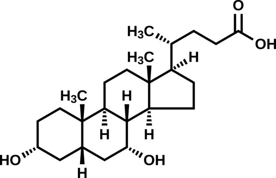 Chenodeoxycholic acid structural formula, vector illustration
