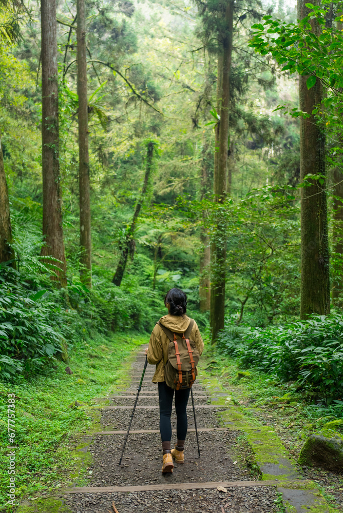 Sticker Woman with backpack and trekking poles hiking over the forest