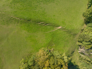 Aerial view of rural landscape with pasture and trees.