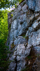 Rock on a slope on mountain in forest