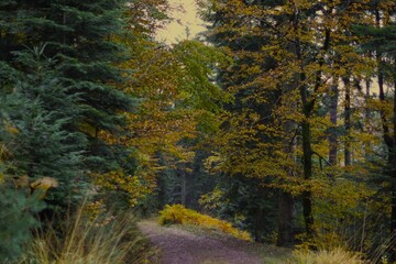Couleurs automne