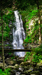 Waterfall and bridge in Schwarzwald 