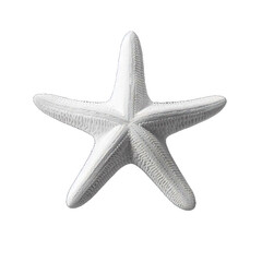 Starfish isolated on transparent background.
