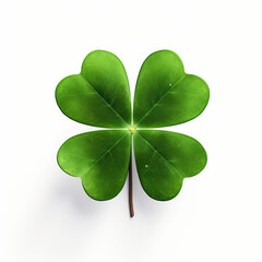 Shamrock clover isolated on white background. Celebration of Irish culture and St. Patrick's Day